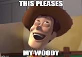 THIS PLEASES MY WOODY imgflip.com