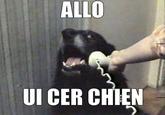 This is a French version of the meme "Hello This Is Dog", it appeared in mid-2012. Surprisingly, it features the same kind of misspellings as in the French meme "Mer Il Et Fou". This version inspired some tweets such as this one : https://twitter.com/CgXxX/status/220788859628298241 – info source: http://www.madmoizelle.com/yes-this-is-dog-memologie-116540