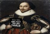 ctat 34 TO BE OR NOT TO BE CHARLIE