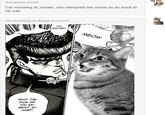 dumanios asked Cat meowing at Josuke, who interprets the meow as an insult to his hair cat-meowing-at-things answered YOu BASTARD! WHAT THE F--- DID YOU SAY ABOUT MY HAIR?!