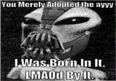 You Merely Ardoptedthe avy LWas Born,In It.