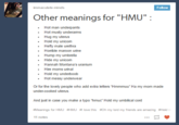 "source":http://immaculate-minds.tumblr.com/post/6998516250/other-meanings-for-hmu