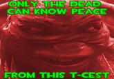 ONLY THE DEAD CAN KNOW PEACE FROM THIS T-CEST