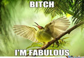 IM FABULOUS memecenter.com MemeCentera