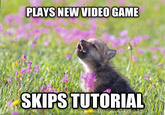 SKIPS TUTORIAL