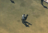 "source":http://theconcourse.deadspin.com/llamas-on-llam-llose-llawmen-1688271989
