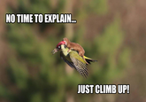 NO TIME TO EXPLAIN JUST CLIMB UP!