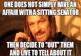 One Does Not Simply... ONE DOES NOT SIMPLY HAVEAN AFFAIR WITH ASITTING SENATOR THEN DECIDE TO"OUT THEM AND LIVE TO TELLABOUT IT