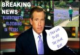 BREAKING NEWS BLUEBONNETS BLOOMING IN TEXAS I TOLD GoD To VSE 0 THE (OLoR BLVE