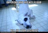 OH GREAT AND MIGHTV FLOOR TELLIME VOUR SECRETS!