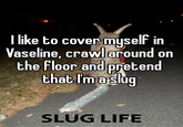 <a href="https://whisper.sh/whisper/05103300eb1f503387687bdd36e8ee5466f4dd/I-like-to-cover-myself-in-Vaseline-crawl-around-on-the-floor-and-prete">Wisper</a>
