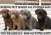 puppies "Source":https://suburbanbanshee.wordpress.com/2015/04/08/we-need-more-sad-puppies-memes/