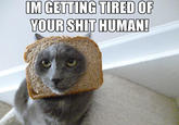 IM GETTING TIRED OF YOUR S--- HUMAN!