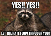 YES!! YES!! LET THE HATE FLOW THROUGH YOU! quickmeme.com