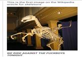 This is the first image on the Wikipedia article for skeletons WE RIDE AGAINST THE FUCKBOYS TONIGHT