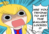 RE YOU TRYING TO GET THE GALLERY LOCKED