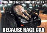 WHY NEED MORE HORSEPOWER? BECAUSE RACE CAR