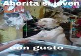 on gusto