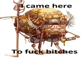 came here o f--- bitches
