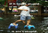 If it loo stupid Bu KS.. It ain'tstupid.
