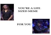 YOURE A LIFE SIZED MEME FOR YOU
