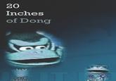 20 Inches of Dong 20 Inches of Dong LENG