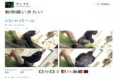"source":https://twitter.com/mtop1205/status/606222376674590720