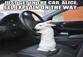 JUST GET IN THE CAR, ALICE, HLEXPLAINONTHEWAY