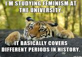 I'M STUDYING FEMINISMAT THE UNIVERSITY IT BASICALLY COVERS DIFFERENT PERIODS IN HISTORY made on imgur