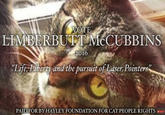 VOTE 2010 "Life. Liberty and the bursuit of Laser Pointers PAID FOR BY HAYLEY FOUNDATION FOR CAT PEOPLE RIGHTS