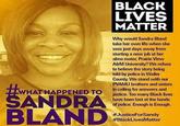 "Source":https://www.facebook.com/pages/Just-what-Happened-to-Sandra-Bland/927206820665695?fref=ts