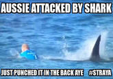 AUSSIEATTACKED BY SHARK JUST PUNCHED IT IN THE BACKAYE HSTRAYA