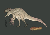 I'm somewhat surprised that Indominus rex wasn't theropod-frog hybrid
"Source":http://cmkosemenillustrated.tumblr.com/post/109878302180/trying-to-imagine-a-version-of-jurassic-park 
