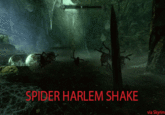 SPIDER HARLEM SHAKE via Skyrim The Elder Scrolls V: Skyrim The Ship ecosystem jungle pc game forest visual effects phenomenon