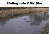 Sliding into DMs like