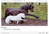 Pinterest - "*Screencap Source*":https://www.pinterest.com/pin/325525879289021619/