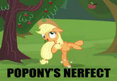 レ POPONYS NERFECT