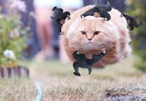 "Source":http://uproxx.com/filmdrunk/2015/07/mission-impossible-photoshops-clinging-tom-cruise/3/