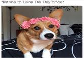 "listens to Lana Del Rey once*