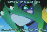 SWIGGITY SWATTER TM COMIN' FOR DAT WATER
