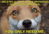DELETED ALL THE OTHER BROWSERS FROM YOUR COMPUTER YOU ONLY NEED ME