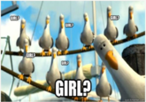 How I picture redditors when a girl posts "source":https://www.reddit.com/r/AdviceAnimals/comments/1h923e/how_i_picture_redditors_when_a_girl_posts/