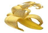 Peeled Banana Golden Spiral Made this on a request, you can request me to photoshop an image for you on this thread <a href="https://knowyourmeme.com/forums/creative/topics/36494-photoshop-requests-ask-me-to-photoshop-something-ill-do-the-most-interesting-stuff-one-by-one">here</a>.