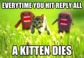 EVERYTIMEYOU HITREPLY ALL A KITTEN DIES quickmemecom