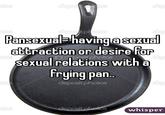 "Whisper.sh":https://whisper.sh/whisper/0516ba8165a5d220385888fa15257a6d045d34/Pansexual-having-a-sexual-attraction-or-desire-for-sexual-relations-wi