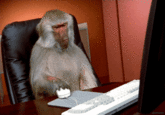 "Source":https://38.media.tumblr.com/9ffd50c511a2342f247c016267e59a72/tumblr_ntuu72JGS31uqe8iio1_500.gif