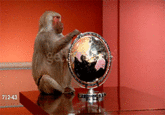 "Source":http://38.media.tumblr.com/3032f0383abeba99cb2728c15d78c700/tumblr_inline_nto0pqZavA1qatdza_500.gif