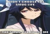 IDIDN'T CHOOSE THE SMUG LIFE THE SMUG LIFE CHOSE ME