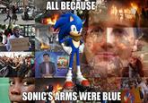 You Could Have Stopped This Sega ALL BECAUSE s army SONICS ARMS WERE BLUE