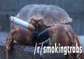 /r/smokingcrabs /r/smokingtrabs
